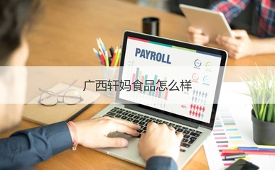 廣西軒媽食品公司概覽 工作時間、發(fā)展與計算機軟硬件業(yè)務(wù)